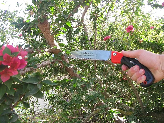 TABOR TOOLS Pruning Saw with Sheath, 10 Inch Hand Saw with Straight Blade and Holster, Suitable for Trimming Tree Branches and Clearing Forest Trails. TTS32A. (10 Inch, Straight Blade)