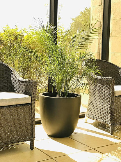 Kante 18 Inch Dia Round Concrete Planter, Indoor Outdoor Large Plant Pot with Drainage Hole and Rubber Plug for Home Patio Garden, Charcoal